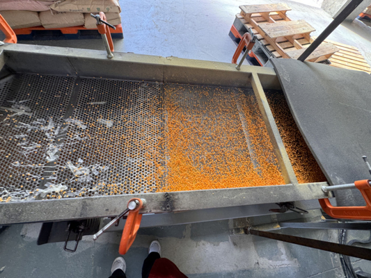 Máy tạo hạt nhựa PE Foam Máy tạo bọt cho bọt XLPE XPE