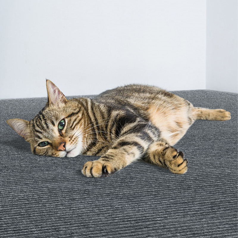 60*200cm Cat Scratch Furniture Protector Self-adhesive Cat Scrating Mat
