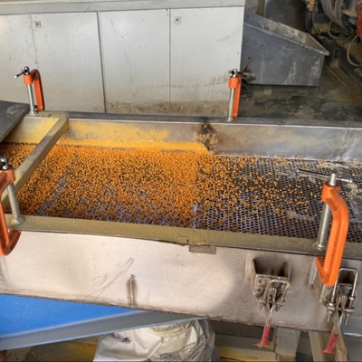 Máy tạo bọt XPE cho Pelletize liên kết ngang XLPE EVA Polyethylene