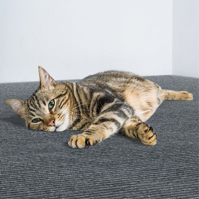 60*200cm Cat Scratch Furniture Protector Self-adhesive Cat Scrating Mat
